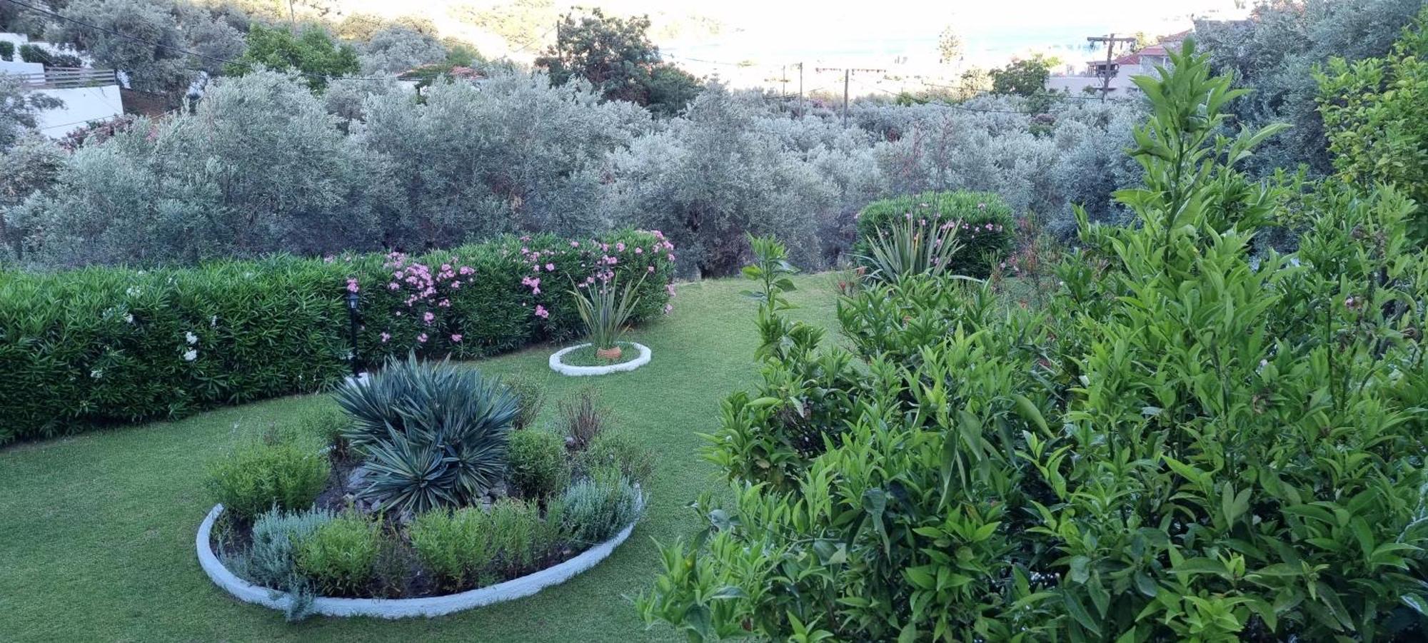 Olive Grove Studios Μεγάλη Άμμος Εξωτερικό φωτογραφία