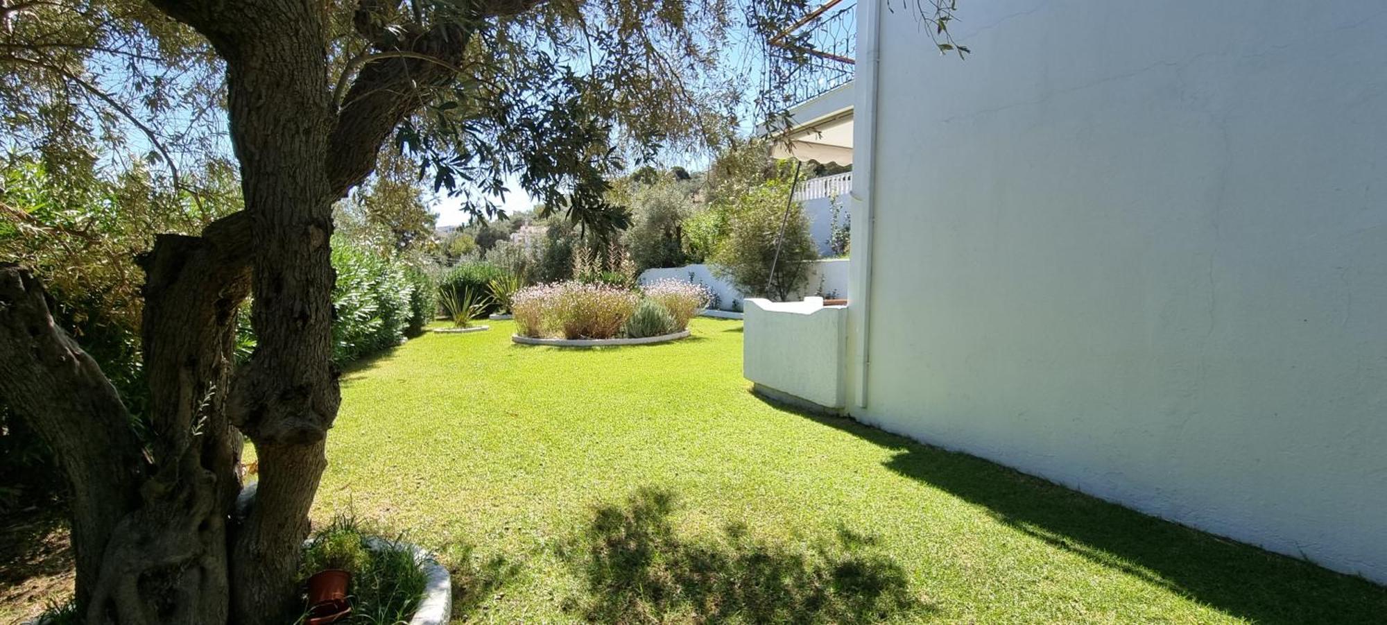 Olive Grove Studios Μεγάλη Άμμος Εξωτερικό φωτογραφία